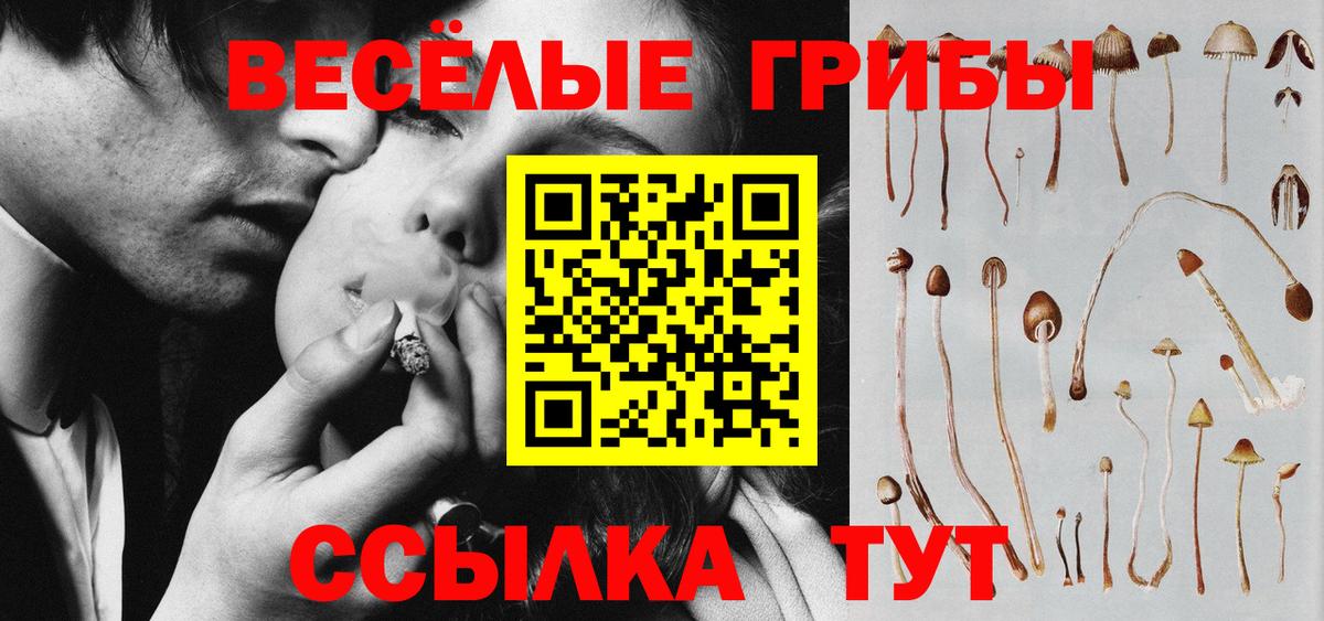 Псилоцибиновые грибы GOLDEN TEACHER Казань