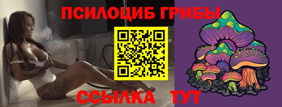 Казань  Галлюциногенные грибы GOLDEN TEACHER  Вход с VPN  Галлюциногенные грибы прущие грибы 